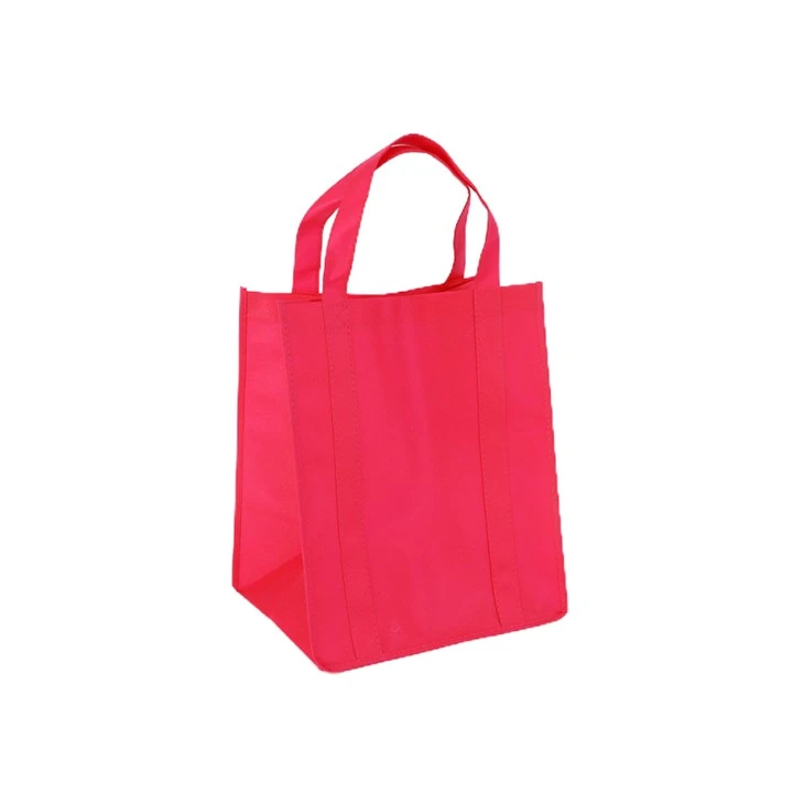 Reusable Non-woven Bag best