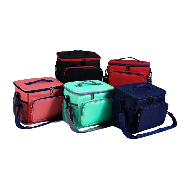 Insulated Bag With Shoulder Strap
