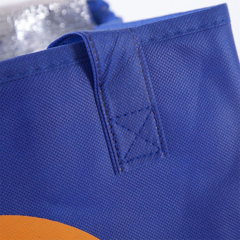 Leak Proof Insulated Bag best